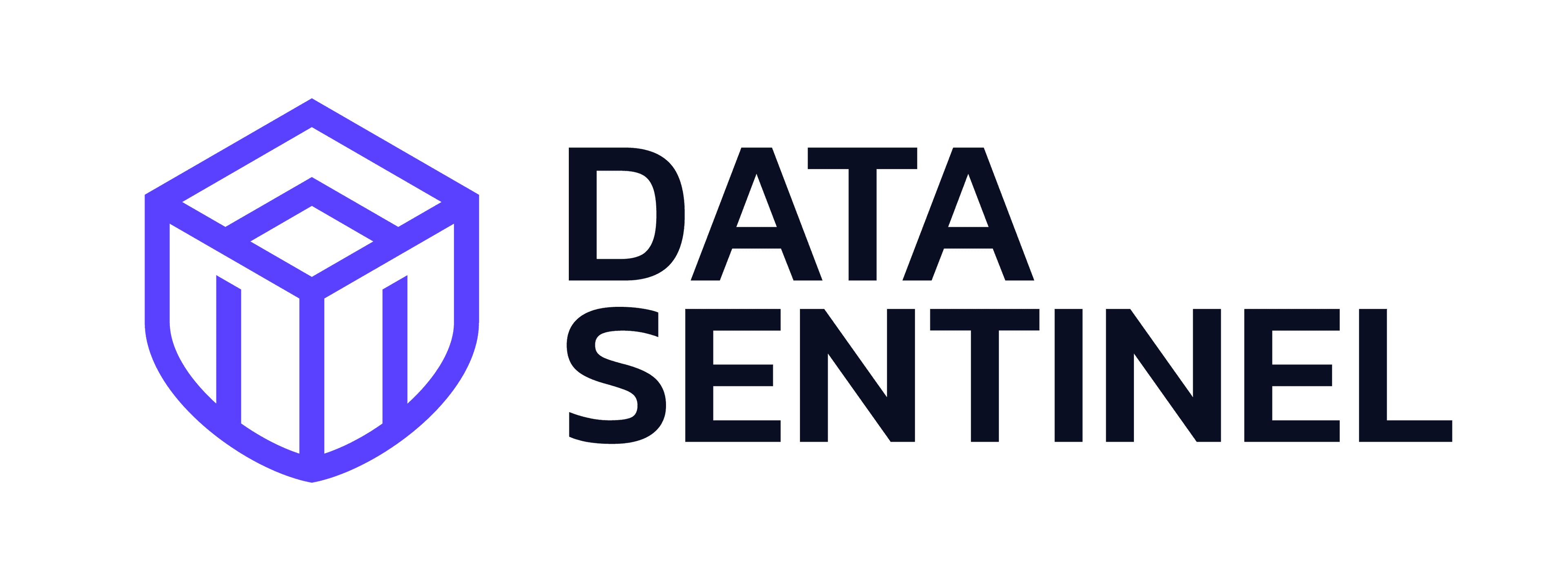 Data Sentinel