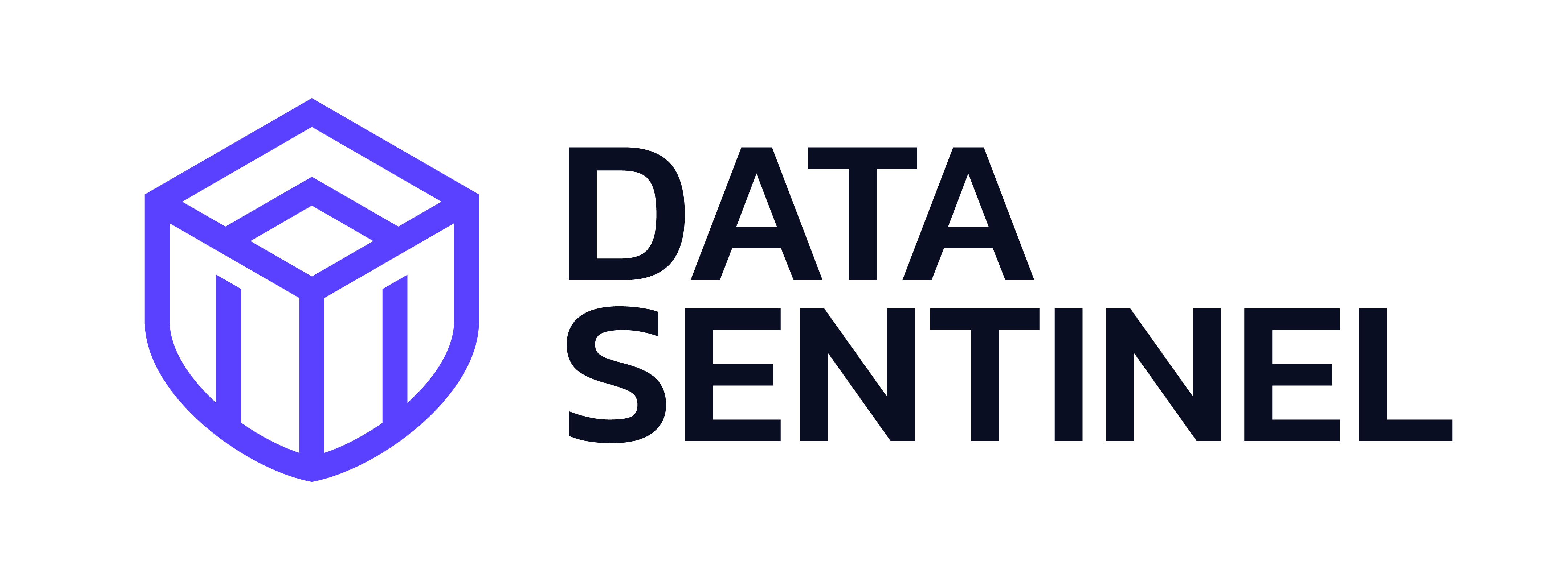 Data Sentinel logo
